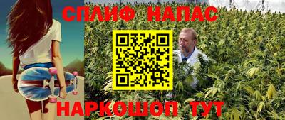 прущие грибы Конаково
