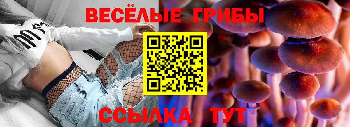 Псилоцибиновые грибы мицелий  Вход с VPN  Юрга 