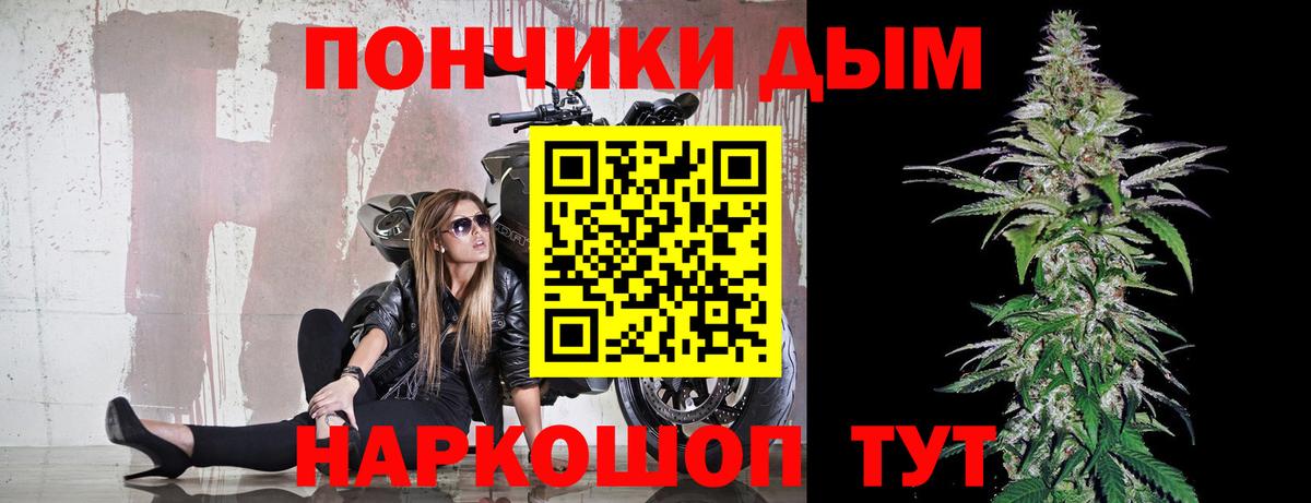 Юрга  Бошки Шишки семена  Каннабис гибрид  Конопля VHQ  Вход с VPN 